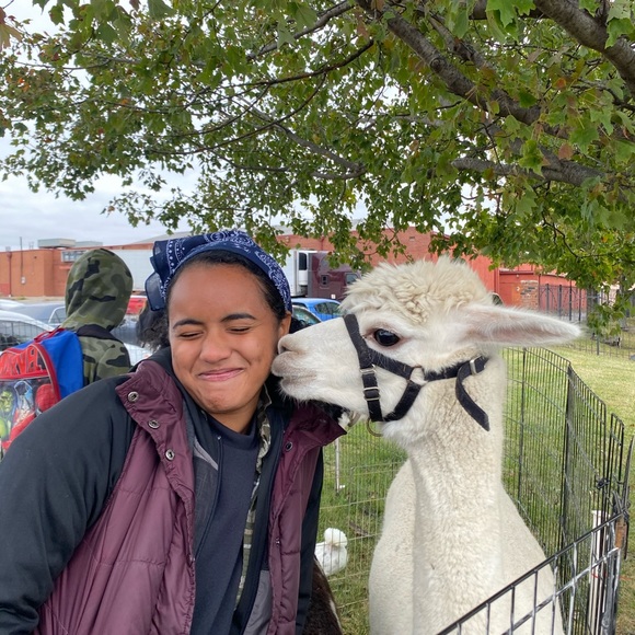 Meet your Posher, Jayden - Picture 2 of 13